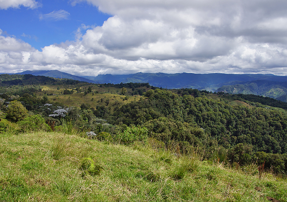Countryside in Huila