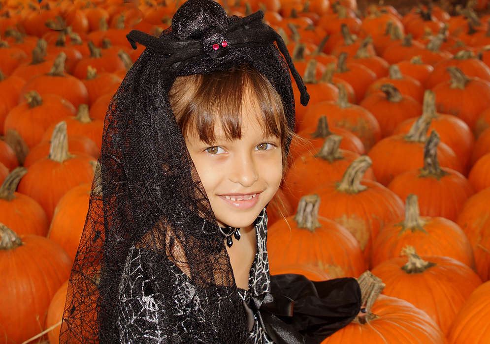 A beautiful girl with a black spider costume seated in front of many pumpkins