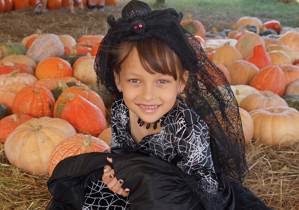 A beautiful girl with a black spider costume seated in front of pumpkins
