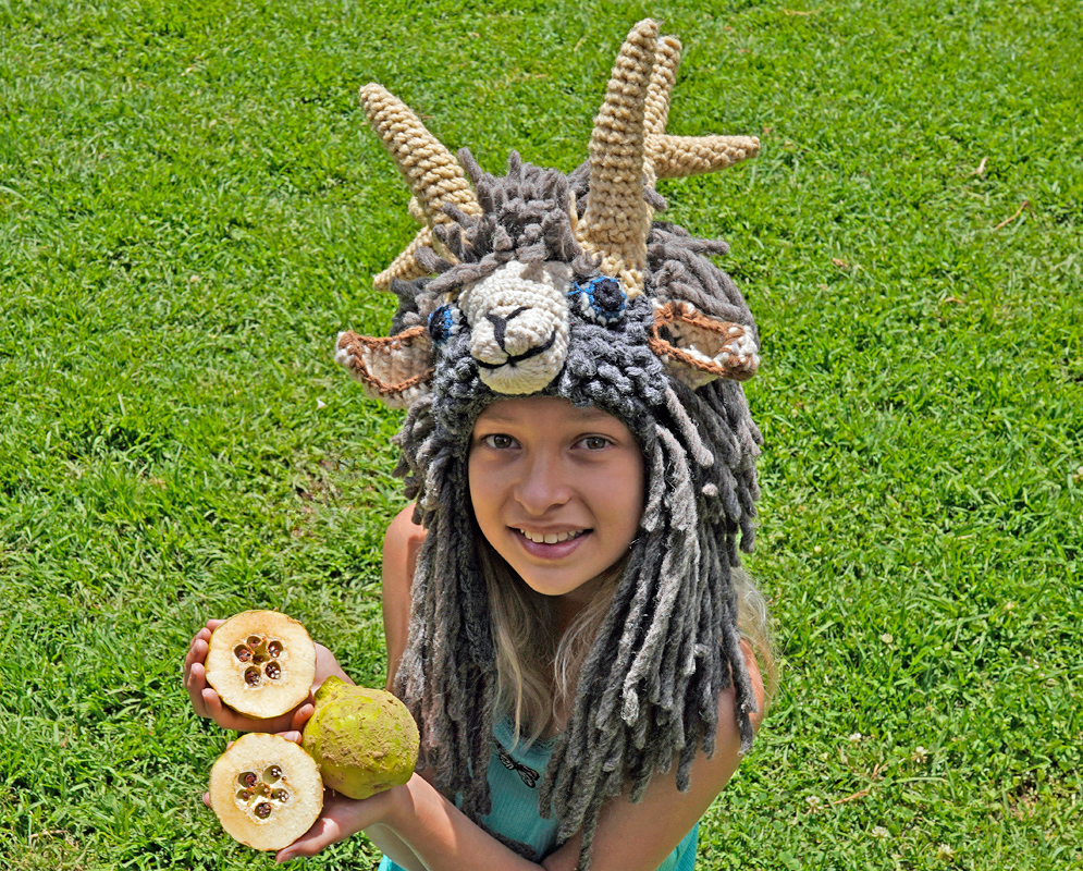 Girl wearing a knitted animal hat holding a whole quince fruit and two halves showing seeds