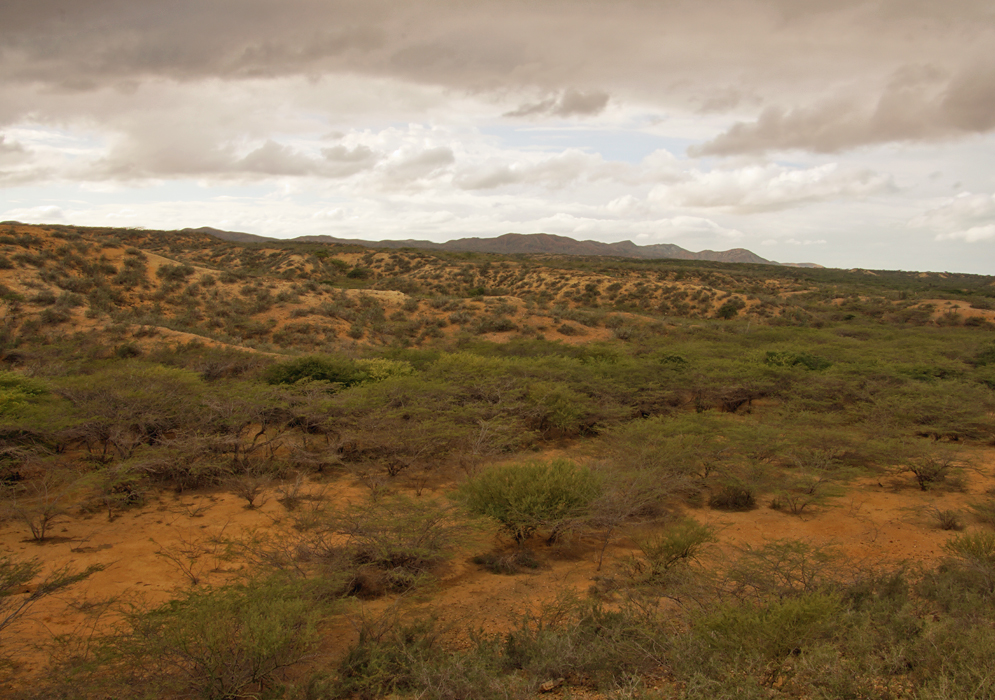 Guajira Desert on an overcast day