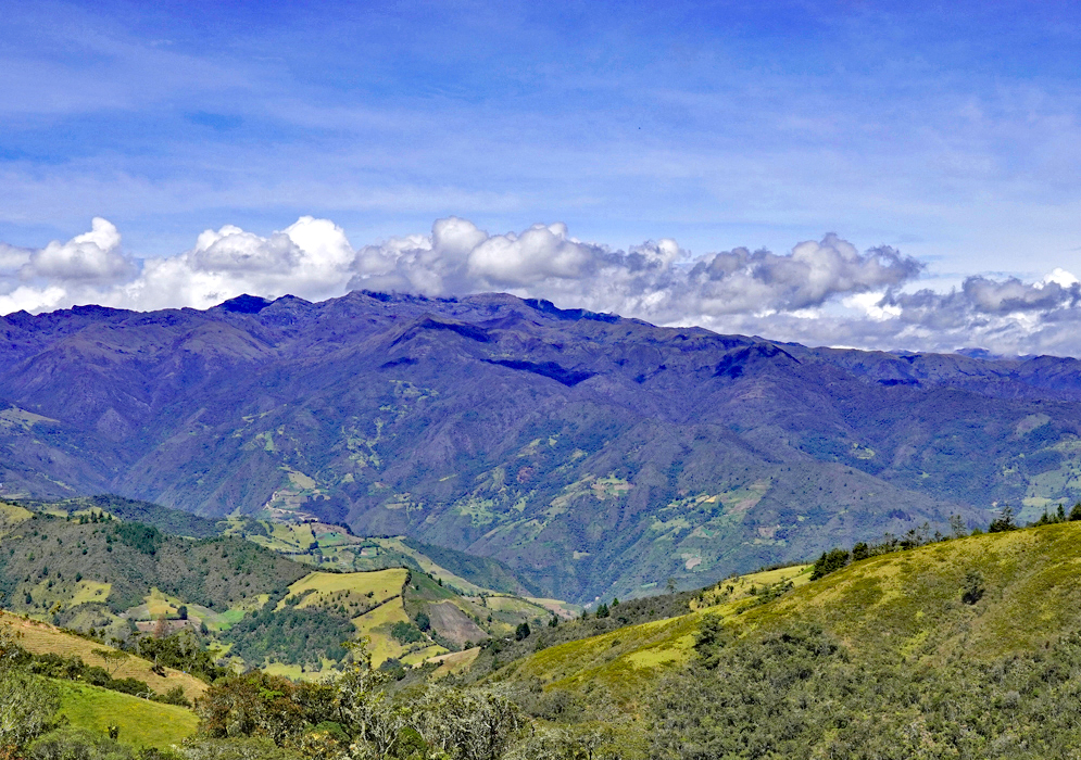 Green farmlands in the foreground of brown mountains