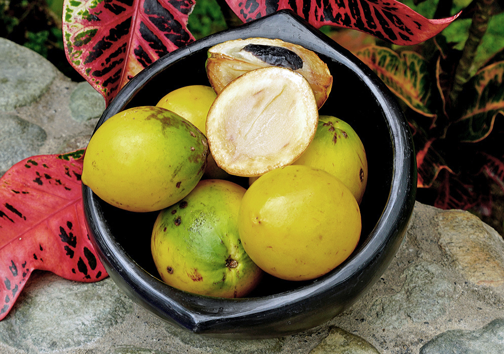 Ripe pouteria caimito fruit on a bowl