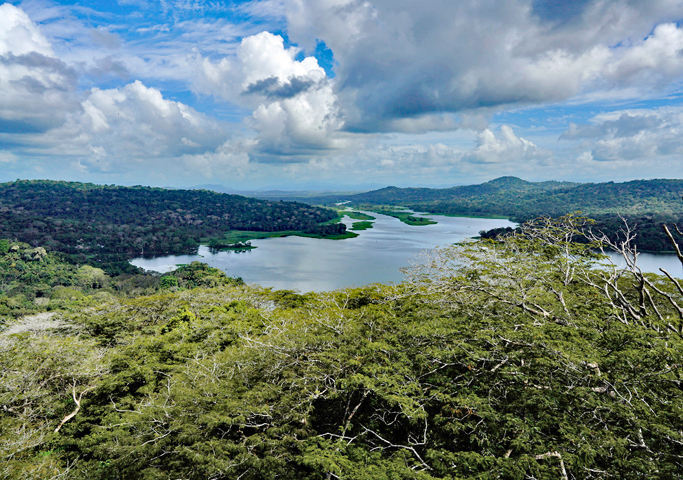 Gatun Lake Panama Forest View Panoramic view of Gatun Lake in Panama showing lush forested hills and winding water channels under dramatic cloud formations