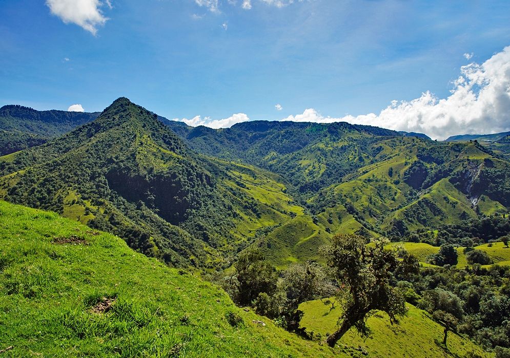 Lush green mountains in the central Andes