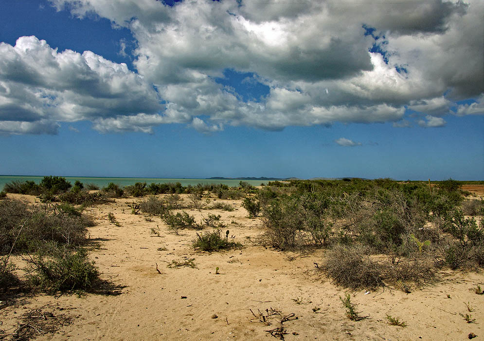 Guajira desert near the shoreline