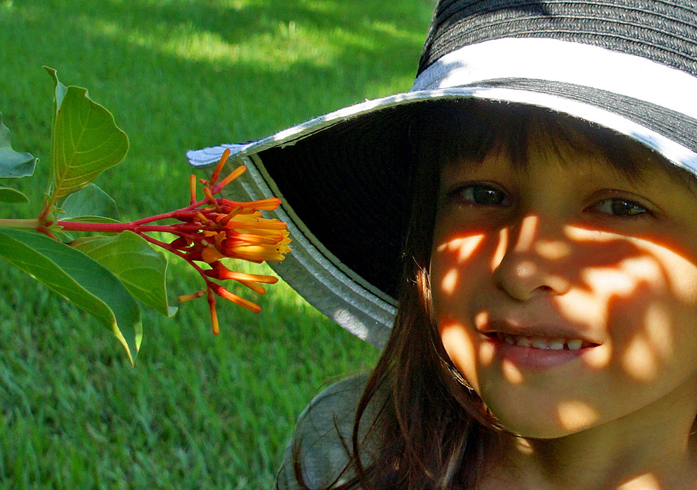 Light orange Hamelia patens flowers in front of a pretty young girls face in dabbled sunlight