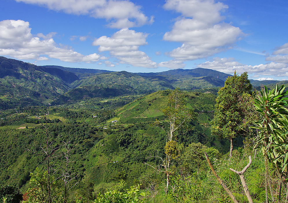 Countryside in Huila
