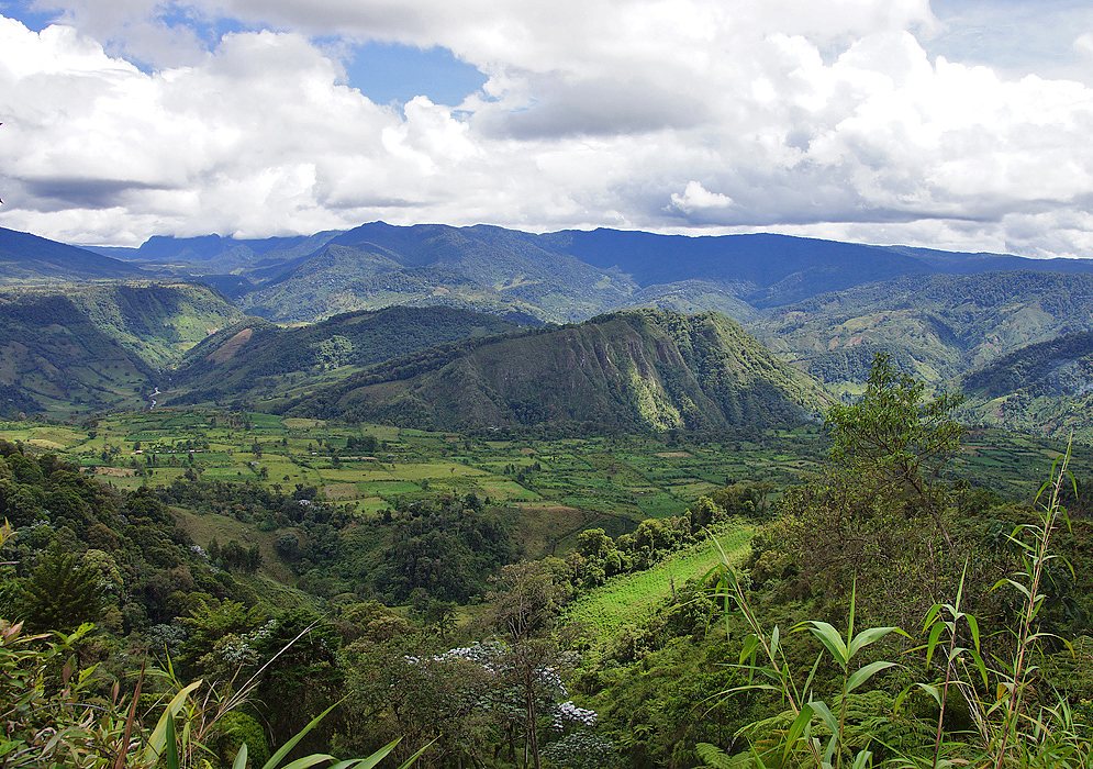 Valley in Huila