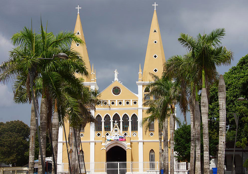 Palm trees and church