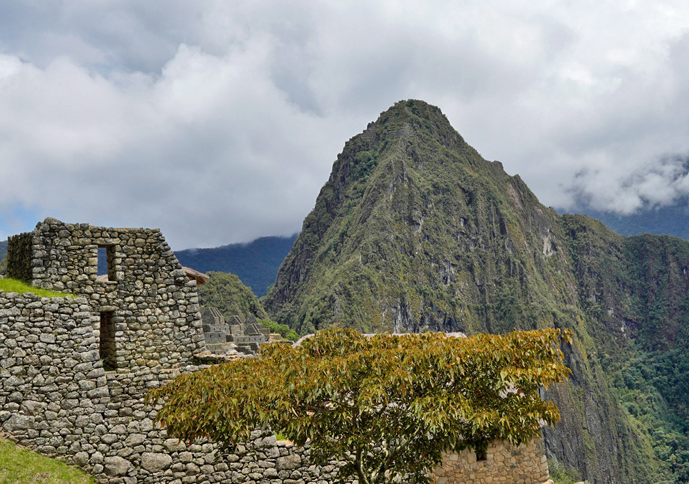 Inca Ruins Partial stone structure from the Inca ruins in Machu Picchu with thick green foliage and a jagged mountain backdrop