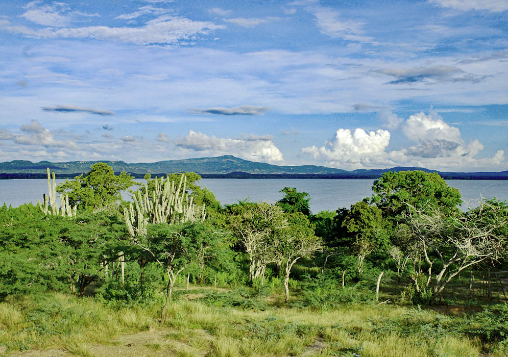 View of the Totumo lagoon behind trees
