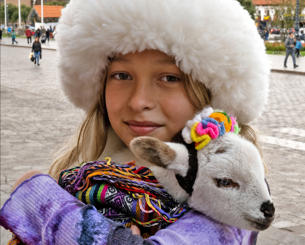 Lama pacos Young Cria A child gently holds a young Lama pacos wrapped in a colorful woven Andean blanket