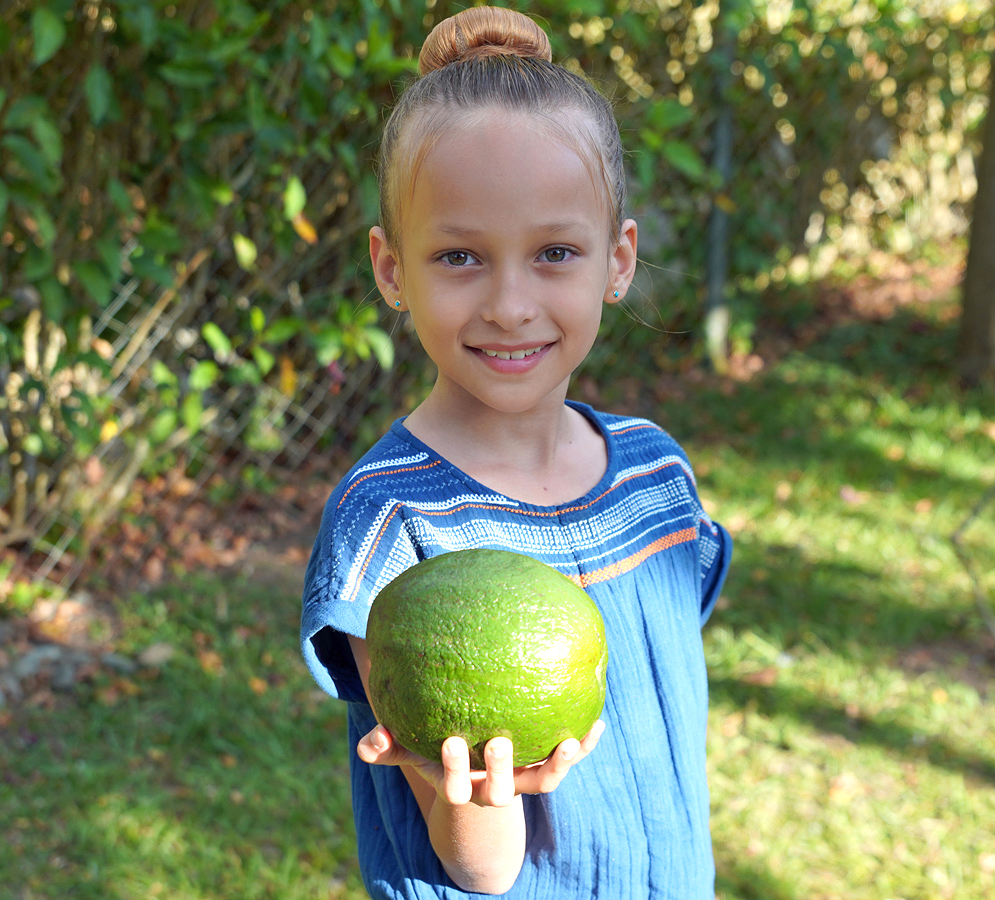 A beautiful eight year old girl holding an avocado in her hand