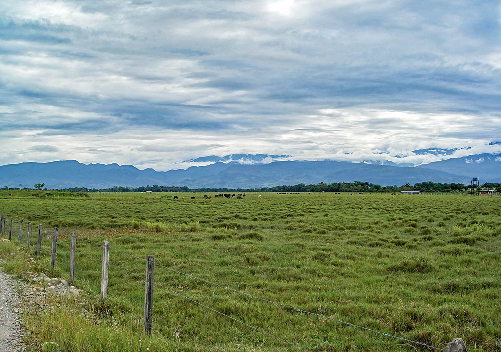 Looking west towards the eastern Andes and a cattle ranch