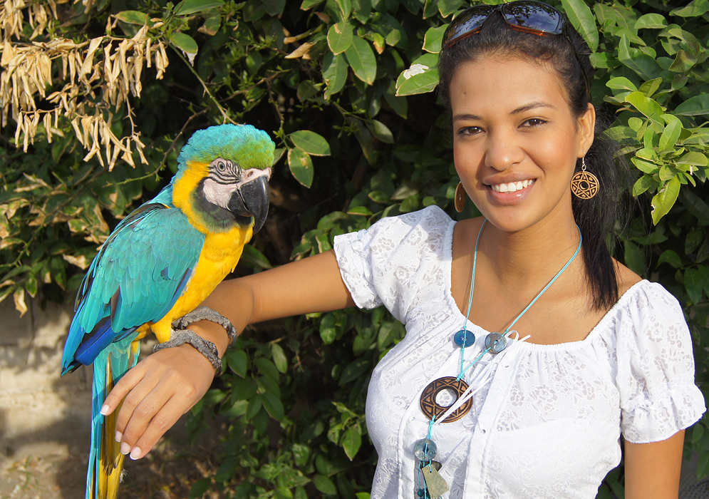 Attractive Colombian woman with a Blue and Yellow Macaw on her arm