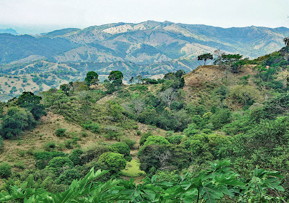 Magdalena River Valley and foothills