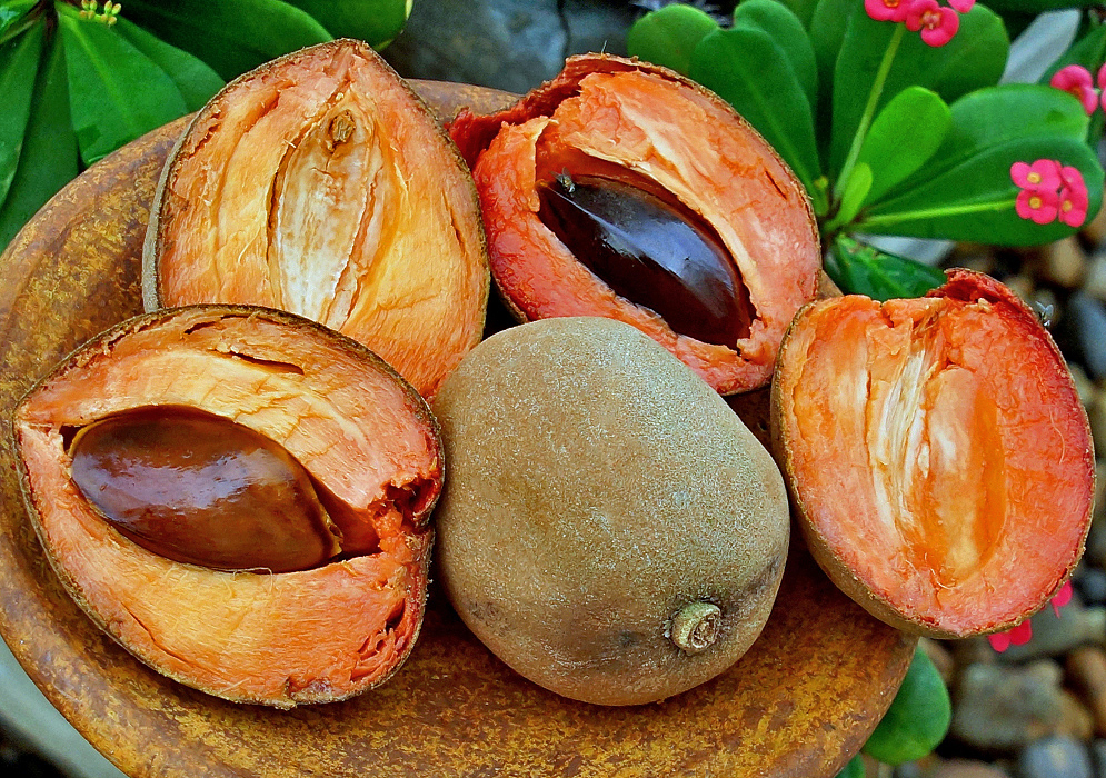 One whole and two half-cut Matisia cordata  fruits cut in half exposing orange pulp and two large dark-colored seeds