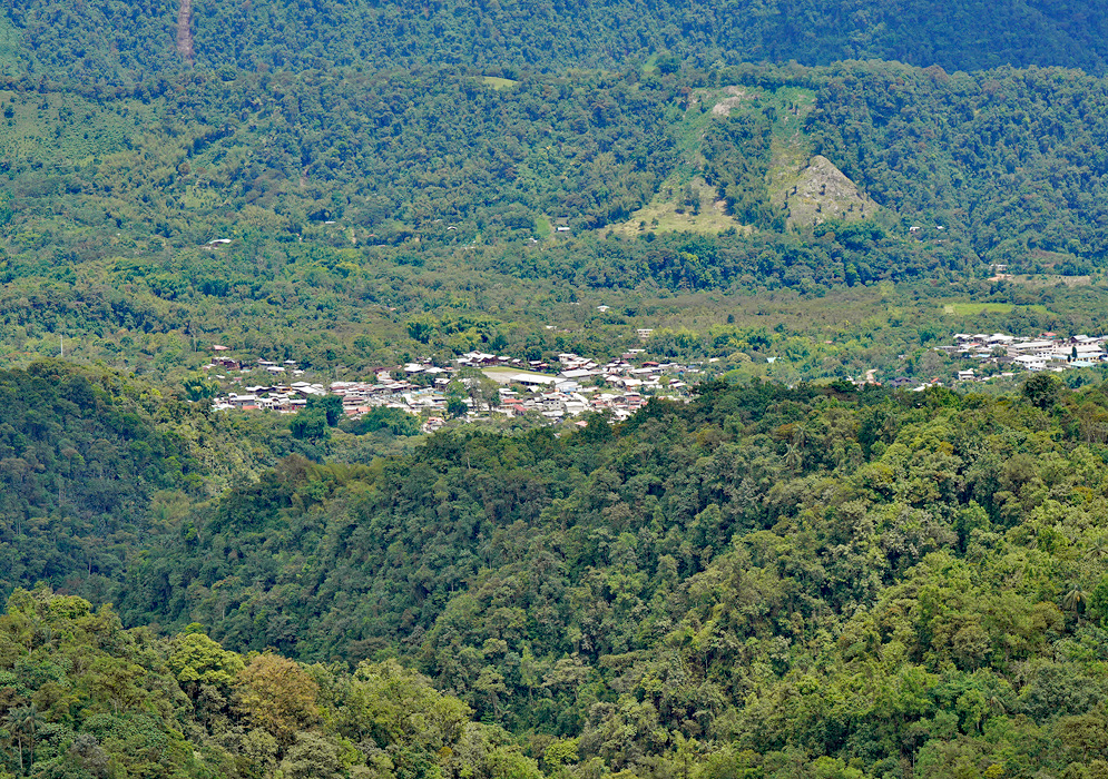 Mindo Cloud Forest Town A view of the lush forested hills surrounding the town of Mindo, Ecuador, tucked within a vibrant green valley