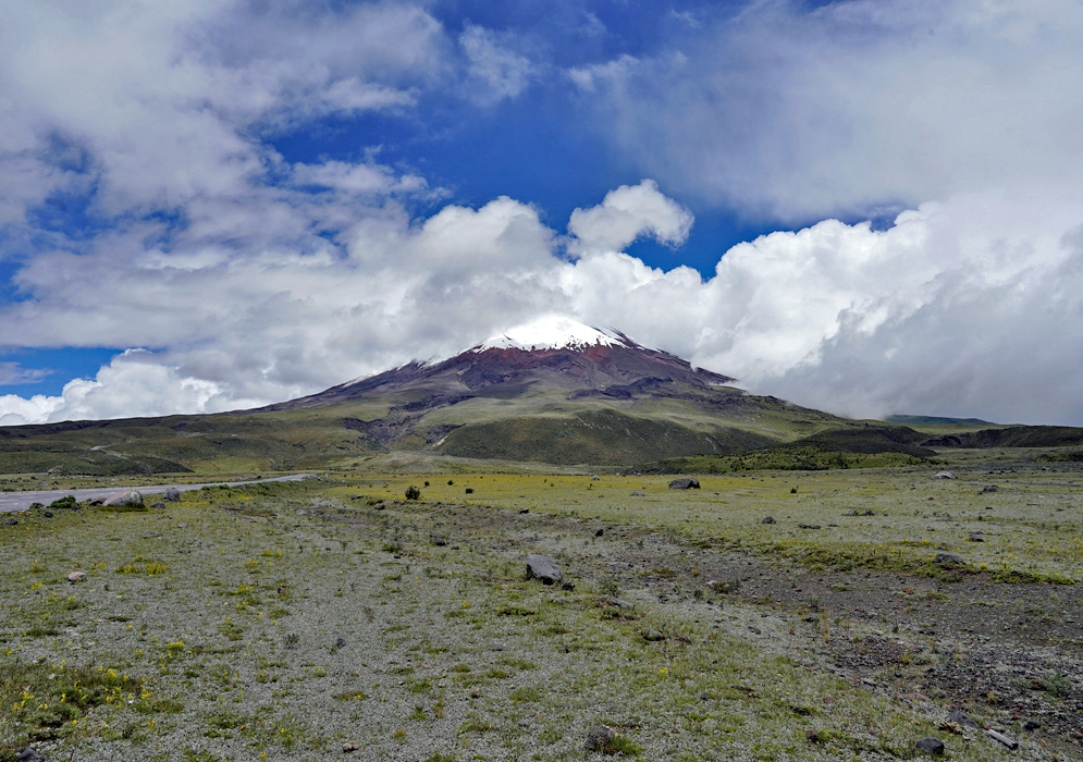 Verdant Slopes Below Cotopaxi The iconic Cotopaxi volcano towers over lush green fields and low vegetation beneath dramatic clouds
