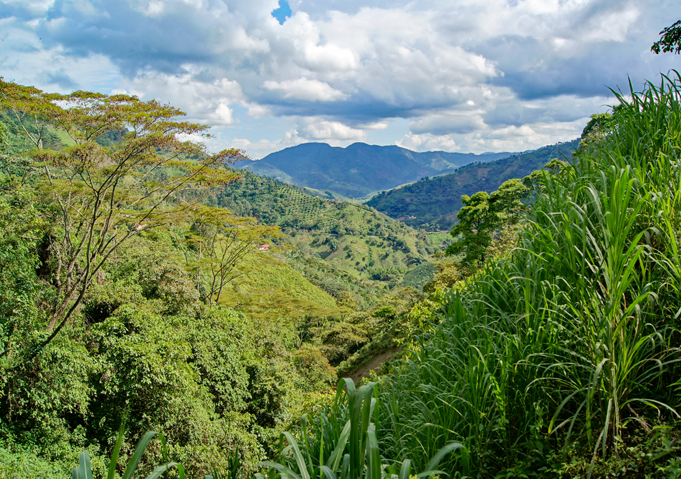 Mountains near Santuario, Colombia