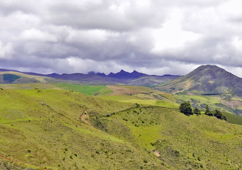 Cleared land and tall dark mountains in the background