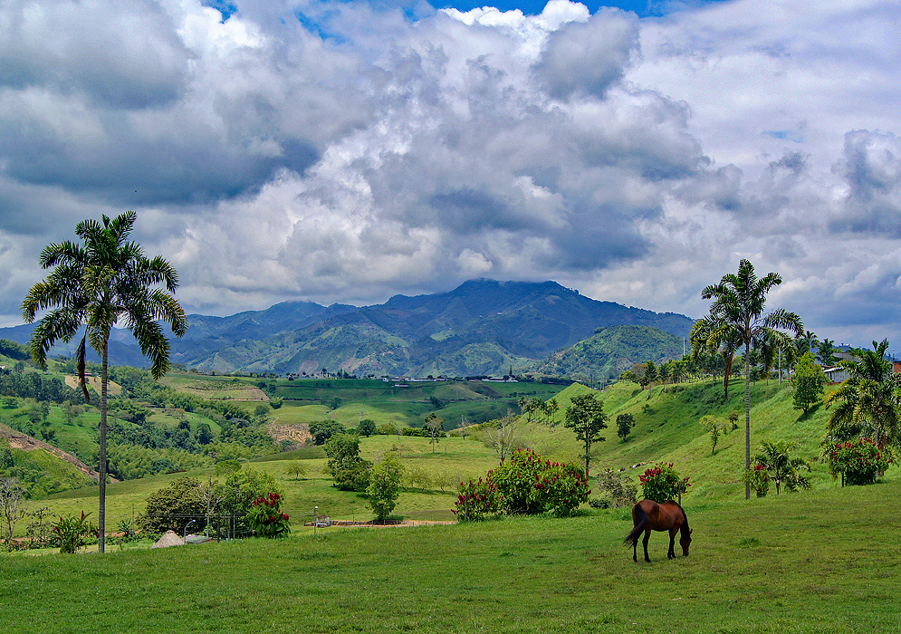 Green Mountains northwest of Pereira, Colombia