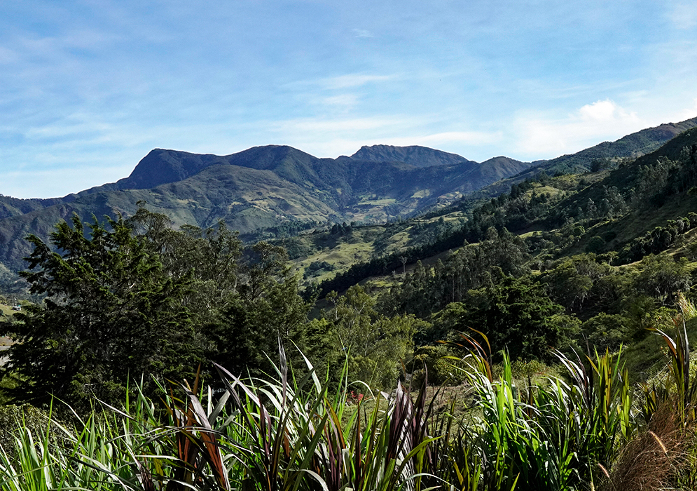 Lush green mountions of North Santander