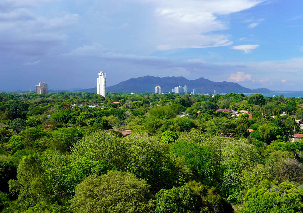 Nueva Gorgona Panama Coastal Skyline Aerial view of Nueva Gorgona, Panama with modern high-rise buildings emerging from dense green forest, backed by the distant Pacific coastline and rugged mountains under a cloudy sky