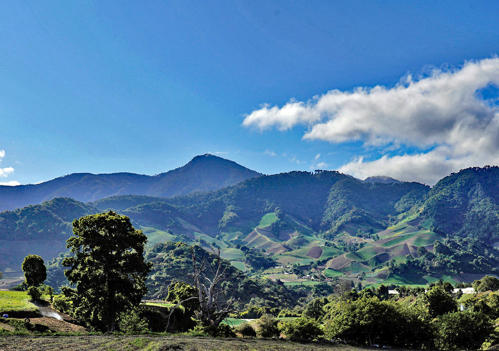 Nueva Suiza Terraced Farms Neatly arranged terraced farms and forested foothills dominate the Nueva Suiza region near Volcán Barú, with geometric crop patterns cut into the lush mountainside