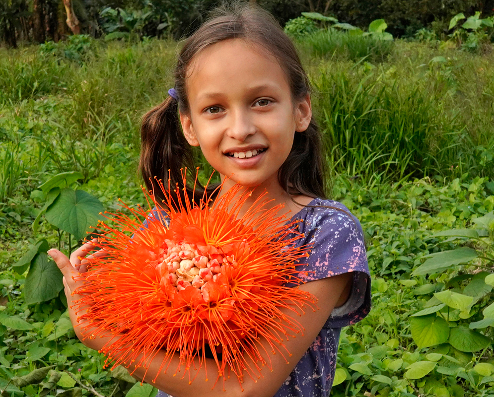 Beautiful girl holding a large orange Brownea macrophylla inflorescence 