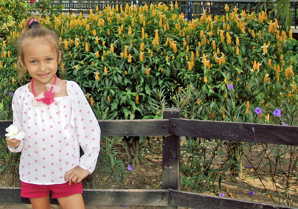 A young pretty girl in front of a row of blooming Pachystachys lutea bushes