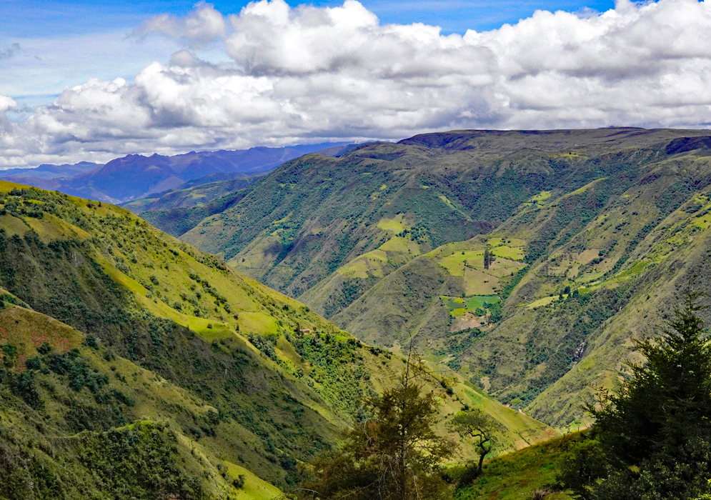 Green fields and grass along the mountion sides