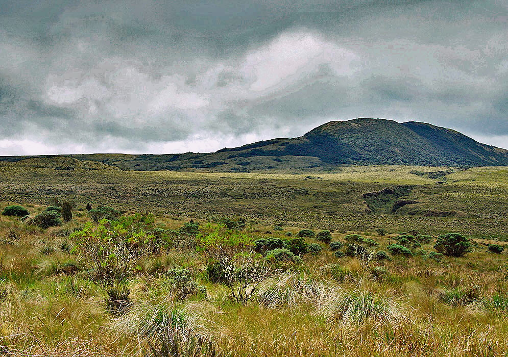 Puracé National Park Páramo High-elevation páramo grassland and low shrubs beneath dark volcanic hills in Puracé National Natural Park