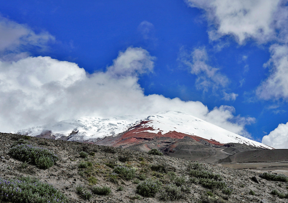 Cloud-Kissed Cotopaxi Peak A scenic view of Cotopaxi volcano surrounded by grassy páramo landscape and partially hidden by clouds