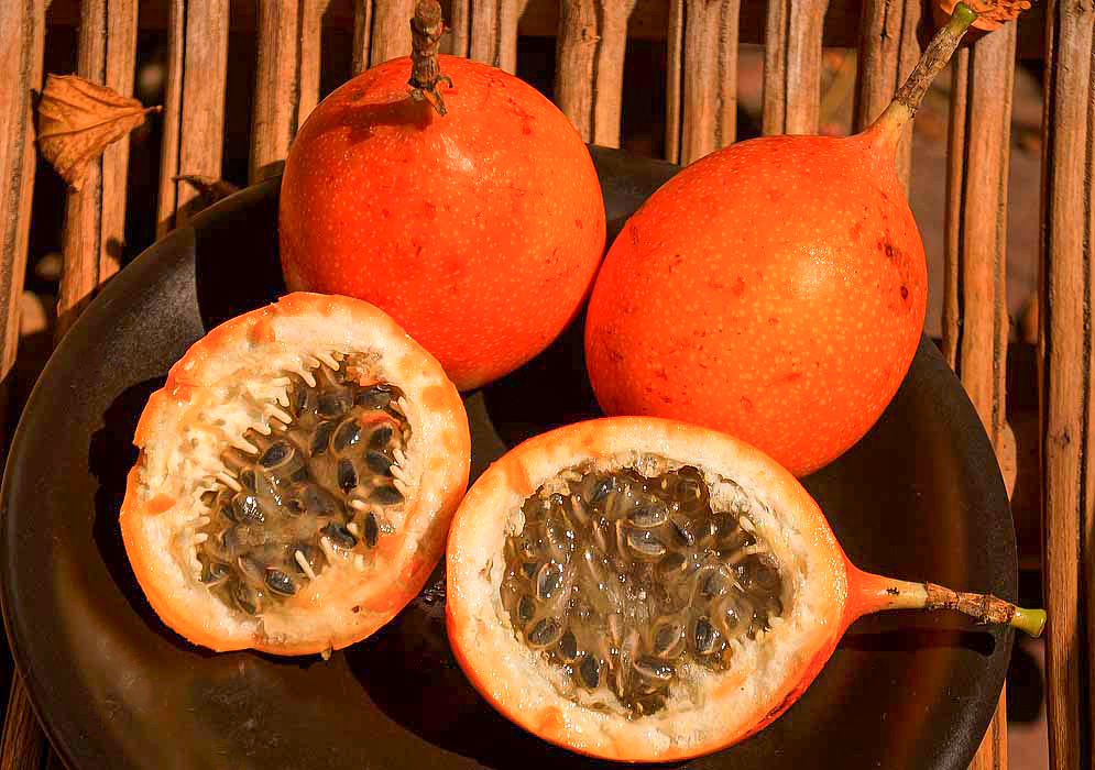 A whole orange Passiflora ligularis fruit with yellow dots next to a cut half with grey color pulp held in the palm of a hand