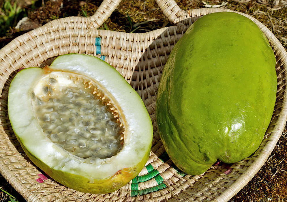 A lime-green Passiflora quadrangularis fruit cut in half exposing the white pulp for one of the halves in a woven basket