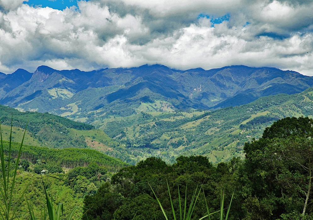 Pastureland In The Central Andes Mountains Expansive pasturelands and terraced hills stretch across the Central Andes, dotted with trees and backed by tall mountain ridges