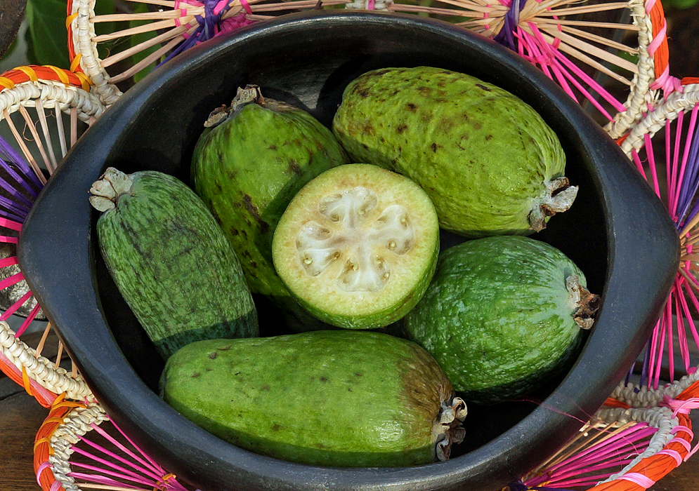 Five Green Pineapple Guavas in a black bowl that is in a colorful basket and one sliced Guava exposing yellow flesh 