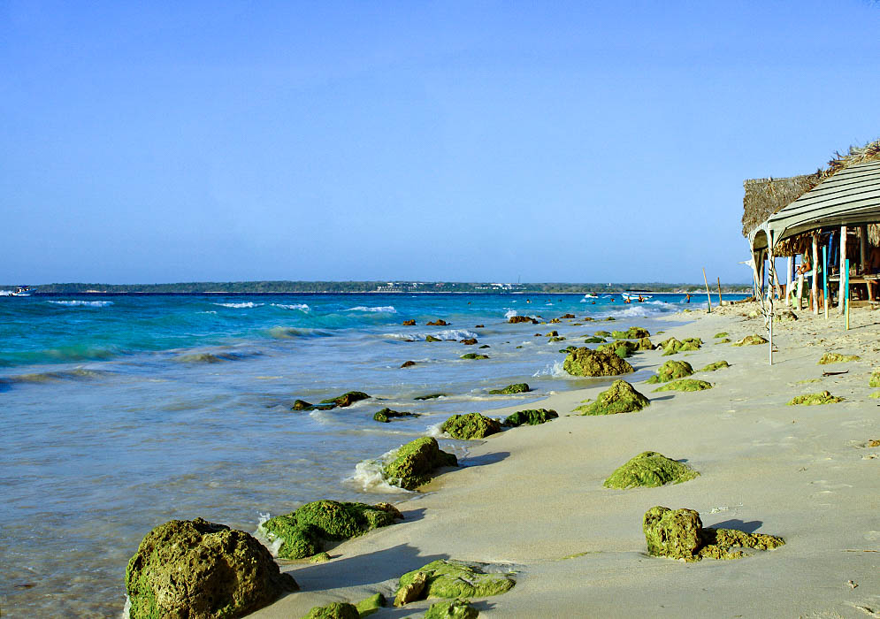 Green moss covered rocks on the shore of Playa Blanca beach with the blue water in the background