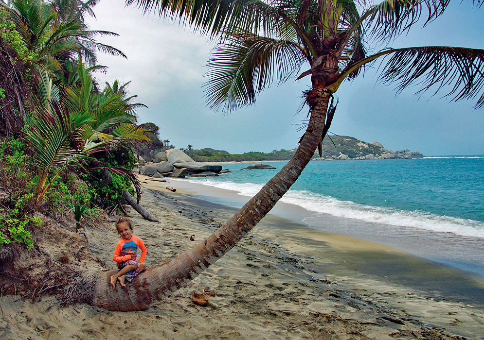 Four year old girl sitting on a palm tree leaning towards the beach and sea