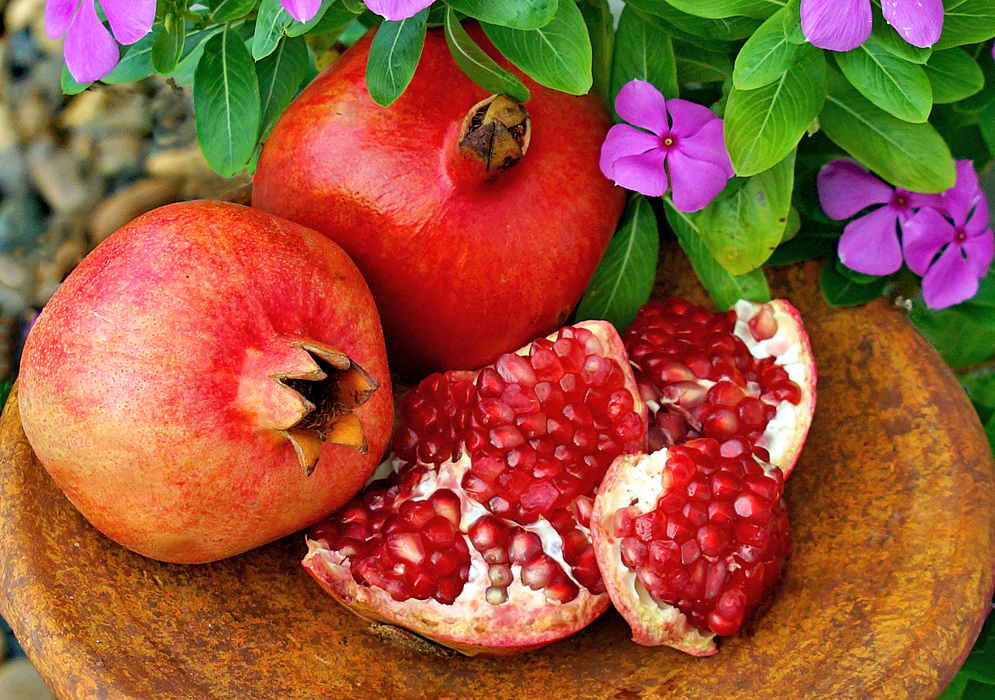 Two red Punica granatum fruits in a bowl with portions of an open Pomegranade exposing the white membranes and red pulp