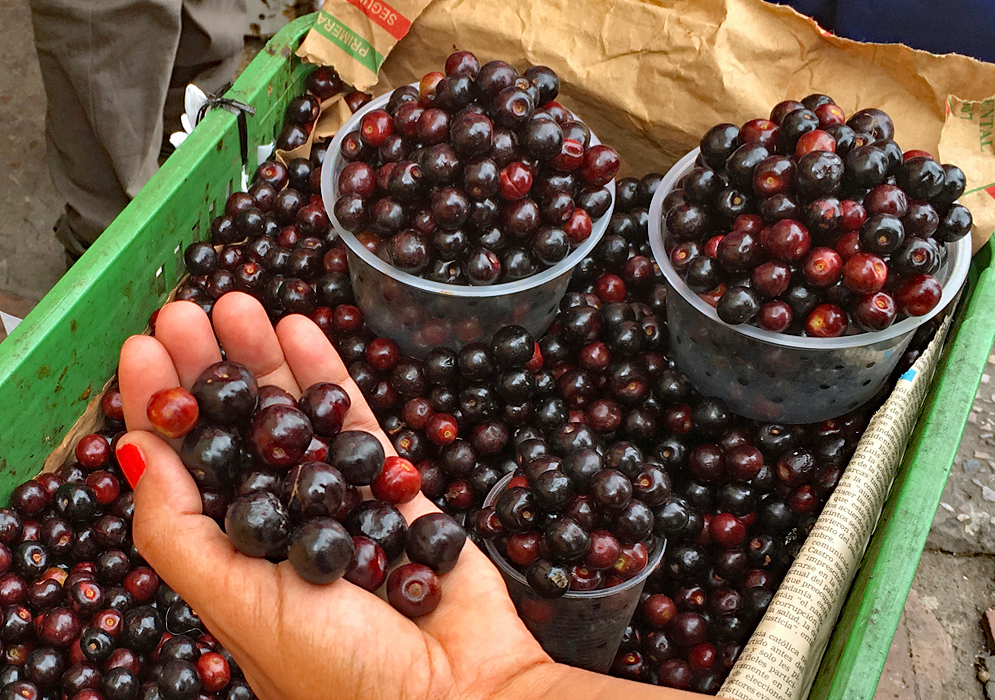 A plastic container with dark cherries and plastic cups full of cherries for sale