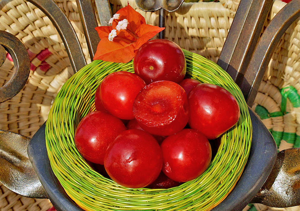 A bowl of red Prunus domestica fruit with one fruit sliced exposing the red pulp