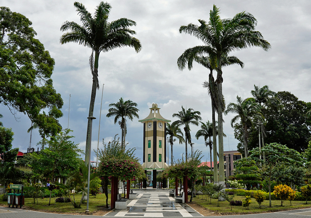 Puerto Maldonado Clock Tower A tropical town square in Puerto Maldonado featuring a clock tower surrounded by palm trees and landscaped gardens under cloudy skies