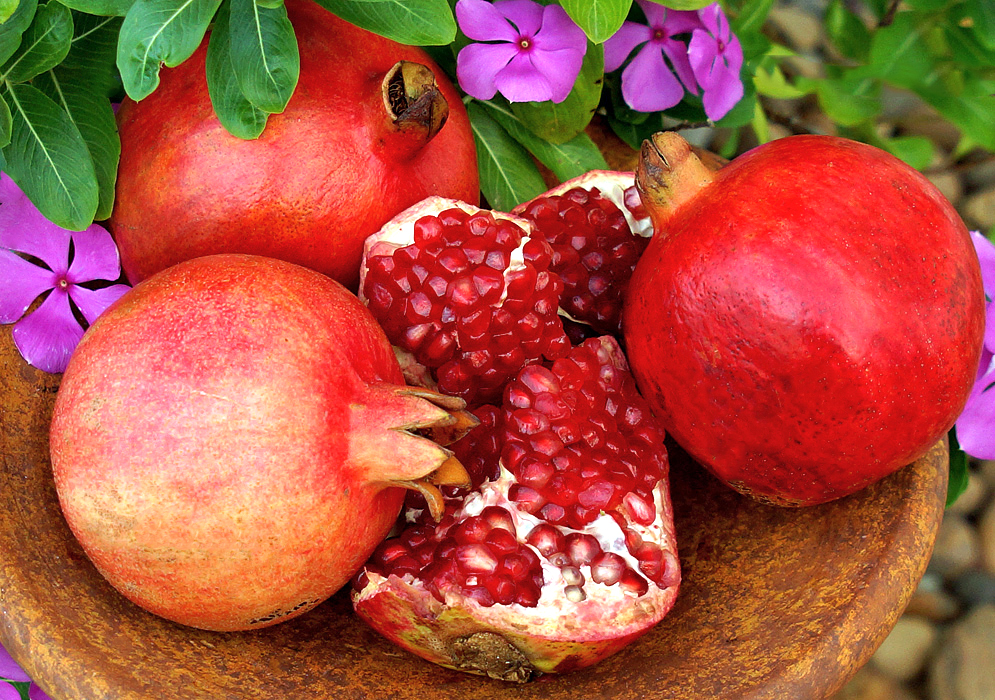 Three red Punica granatum fruits in a bowl with portions of an open Pomegranade exposing the white membranes and red pulp