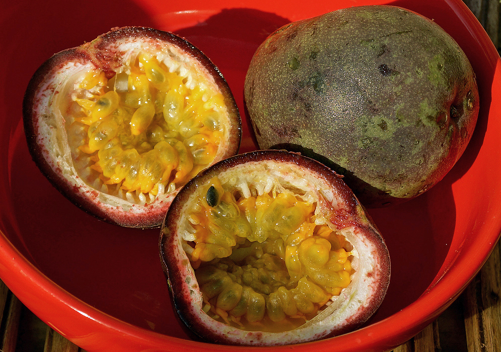 Three half cut Passiflora edulis edulis fruit with yellow pulp on top of purple uncut fruit in a red bowl