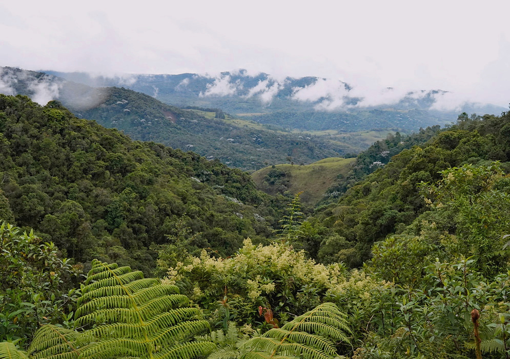 Green mountain slopes descend into a humid valley in Putumayo