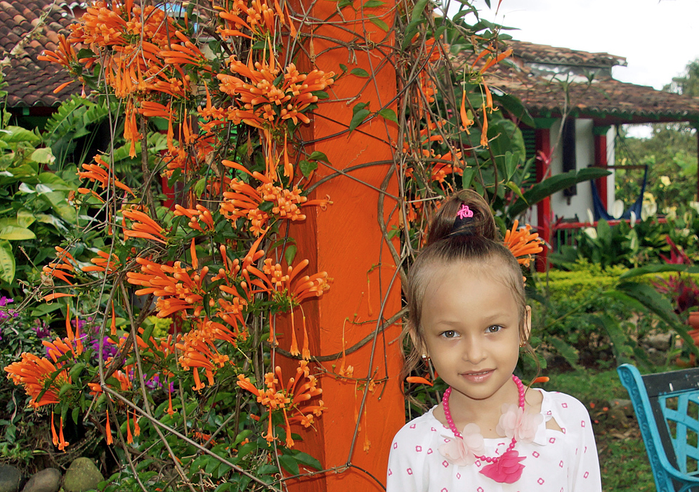 Beautiful five year old next to a blooming Pyrostegia venusta vine