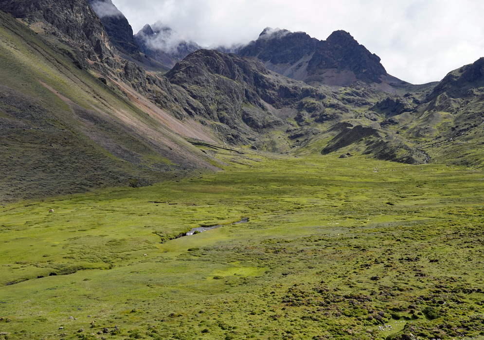 A lush green páramo basin at the foot of dark rocky mountains in the Cordillera Vilcanota, where a narrow stream winds through the center